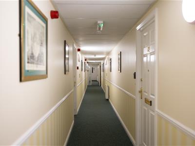 Picture 19